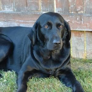 Meet your Posher, Cynthia